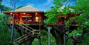 Best of Kerala with Treehouse Stay