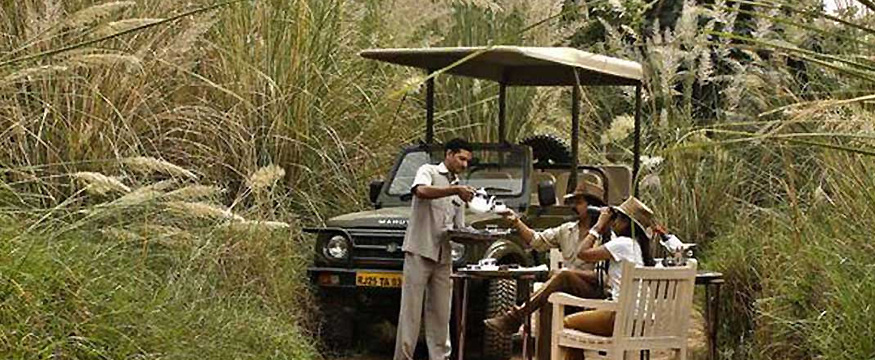 chambal safari dholpur price