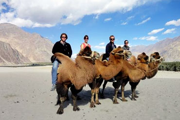 Festivals in Ladakh- Tourism of India