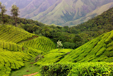Essence of Kerala
