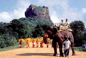Sri Lanka Delights