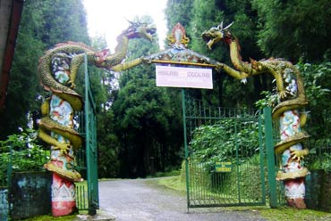 Himalayan Zoological Park in Sikkim | Tourist Attraction in Sikkim