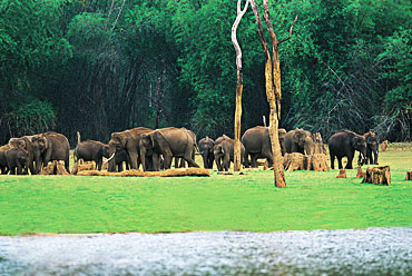 Periyar National Park, Kerala- Best Time to Visit